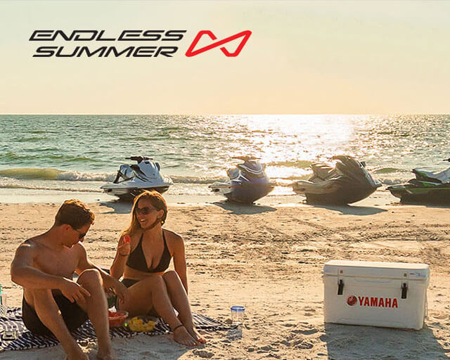 Endless Summer News Side Panel 640 x 512